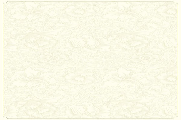 投资者报告：近期杠杆资金使用使用杠杆资金的资产配置