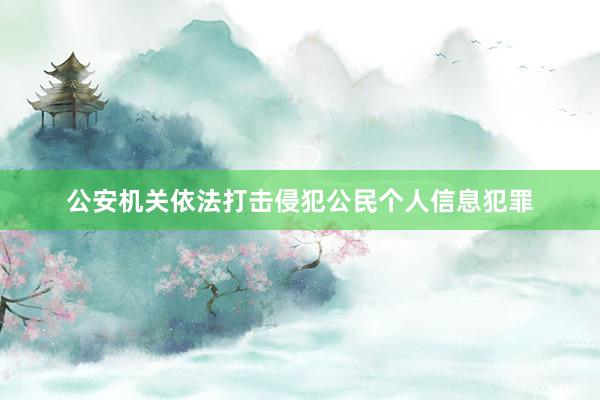 公安机关依法打击侵犯公民个人信息犯罪