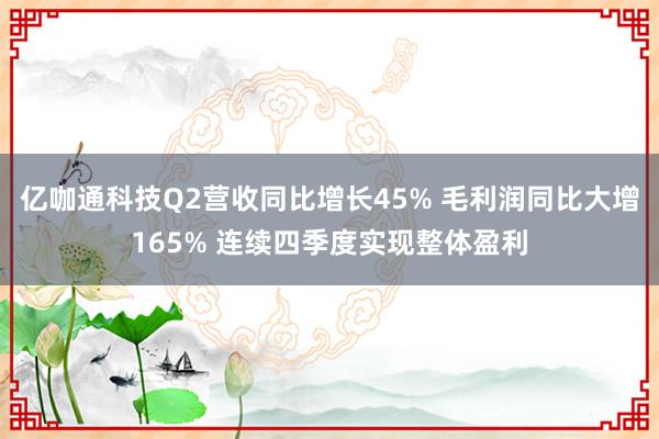 亿咖通科技Q2营收同比增长45% 毛利润同比大增165% 连续四季度实现整体盈利