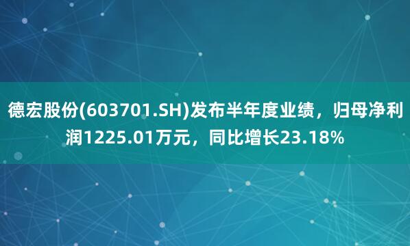 德宏股份(603701.SH)发布半年度业绩，归母净利润1225.01万元，同比增长23.18%