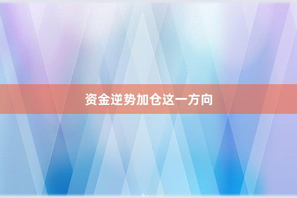 资金逆势加仓这一方向