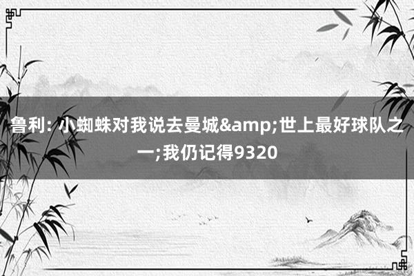鲁利: 小蜘蛛对我说去曼城&世上最好球队之一;我仍记得9320