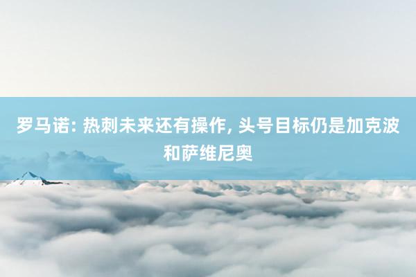 罗马诺: 热刺未来还有操作, 头号目标仍是加克波和萨维尼奥