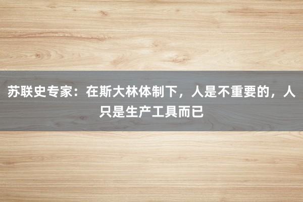 苏联史专家：在斯大林体制下，人是不重要的，人只是生产工具而已