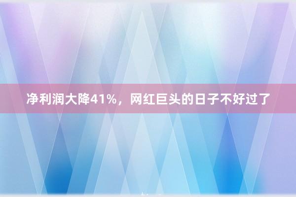 净利润大降41%，网红巨头的日子不好过了