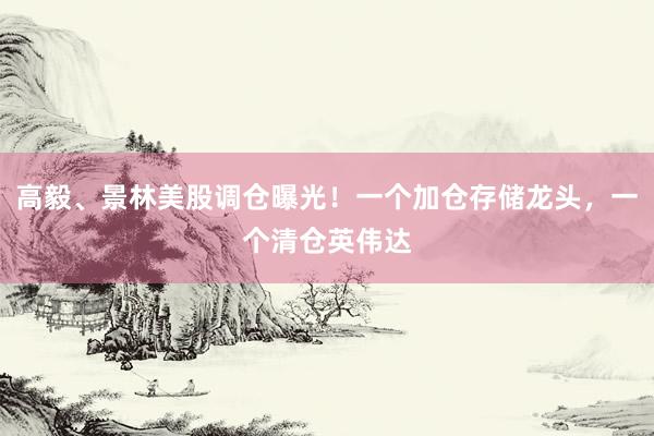 高毅、景林美股调仓曝光！一个加仓存储龙头，一个清仓英伟达