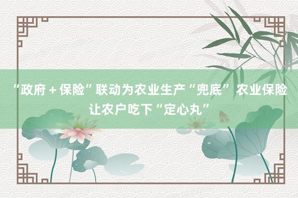 “政府＋保险”联动为农业生产“兜底” 农业保险让农户吃下“定心丸”