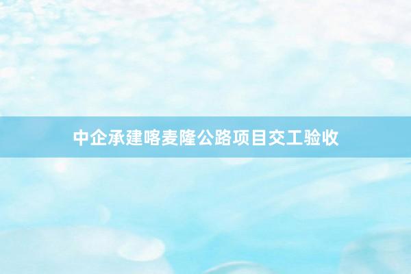 中企承建喀麦隆公路项目交工验收