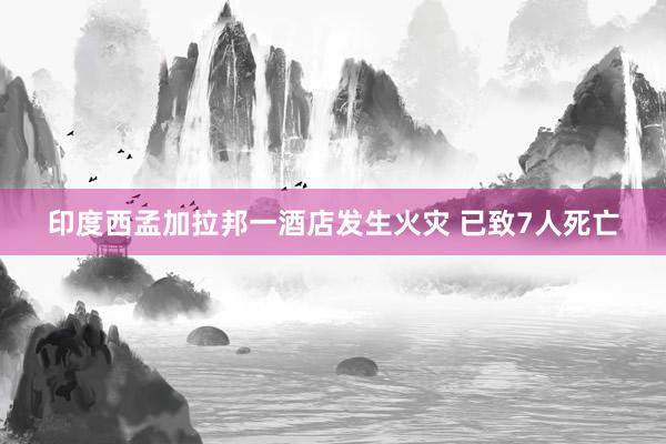 印度西孟加拉邦一酒店发生火灾 已致7人死亡