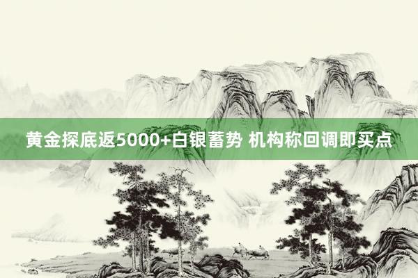 黄金探底返5000+白银蓄势 机构称回调即买点