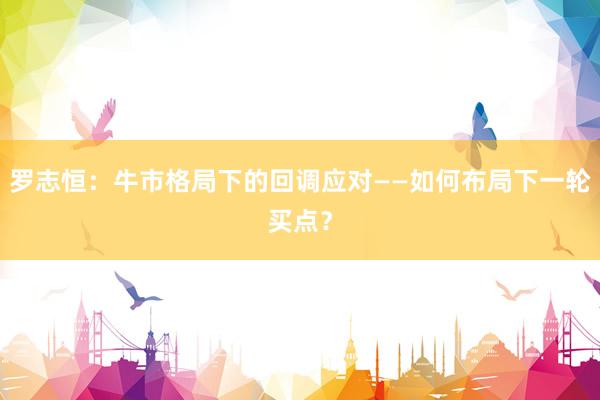 罗志恒：牛市格局下的回调应对——如何布局下一轮买点？