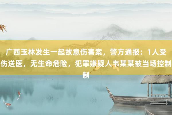 广西玉林发生一起故意伤害案，警方通报：1人受伤送医，无生命危险，犯罪嫌疑人韦某某被当场控制
