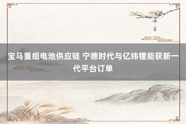 宝马重组电池供应链 宁德时代与亿纬锂能获新一代平台订单