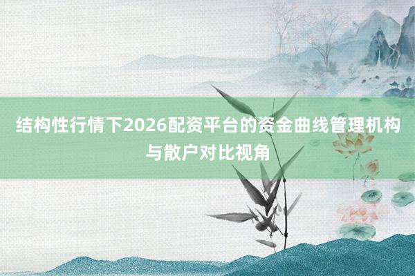 结构性行情下2026配资平台的资金曲线管理机构与散户对比视角