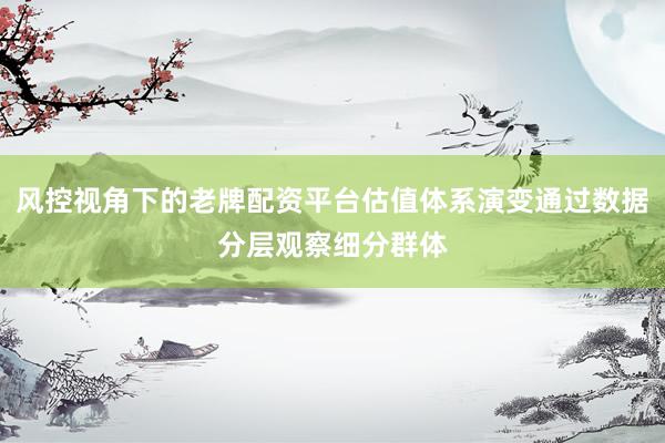 风控视角下的老牌配资平台估值体系演变通过数据分层观察细分群体