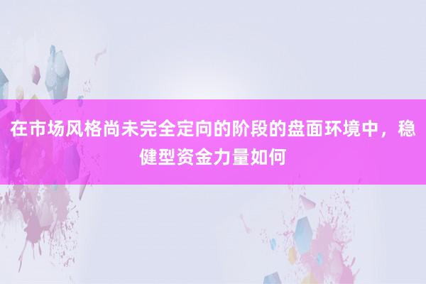 在市场风格尚未完全定向的阶段的盘面环境中，稳健型资金力量如何