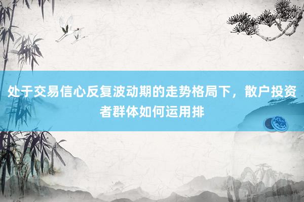 处于交易信心反复波动期的走势格局下，散户投资者群体如何运用排