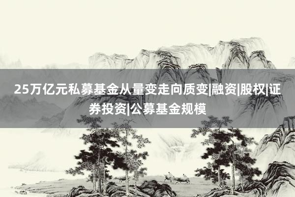 25万亿元私募基金从量变走向质变|融资|股权|证券投资|公募基金规模