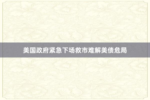 美国政府紧急下场救市难解美债危局