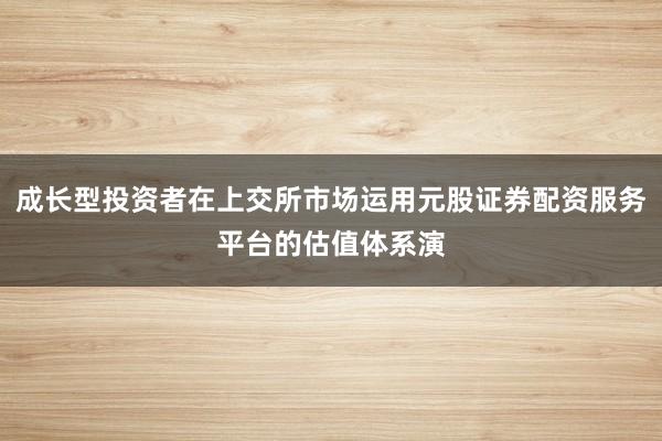 成长型投资者在上交所市场运用元股证券配资服务平台的估值体系演