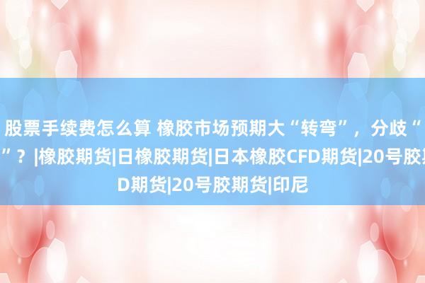 股票手续费怎么算 橡胶市场预期大“转弯”，分歧“愈演愈烈”？|橡胶期货|日橡胶期货|日本橡胶CFD期货|20号胶期货|印尼