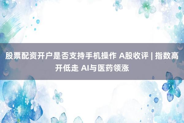 股票配资开户是否支持手机操作 A股收评 | 指数高开低走 AI与医药领涨