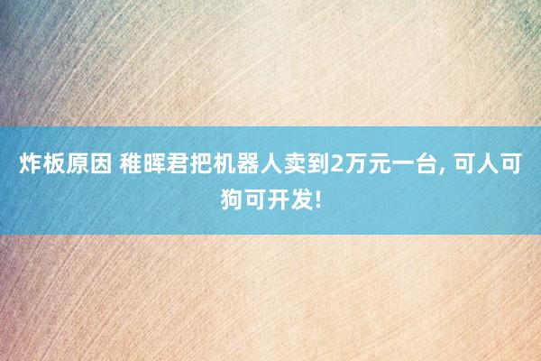 炸板原因 稚晖君把机器人卖到2万元一台, 可人可狗可开发!