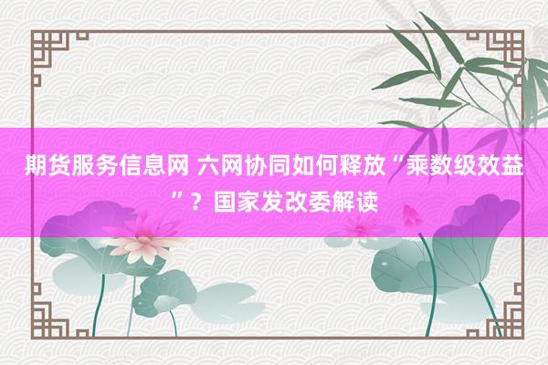 期货服务信息网 六网协同如何释放“乘数级效益”？国家发改委解读