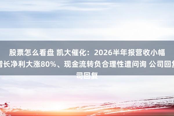 股票怎么看盘 凯大催化：2026半年报营收小幅增长净利大涨80%、现金流转负合理性遭问询 公司回复