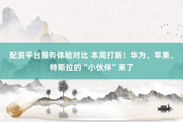 配资平台服务体验对比 本周打新！华为、苹果、特斯拉的“小伙伴”来了