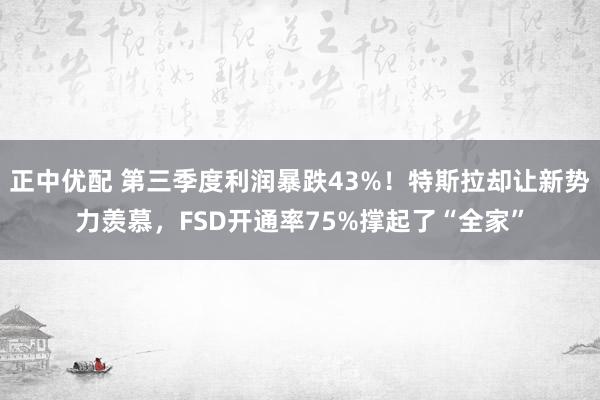 正中优配 第三季度利润暴跌43%!特斯拉却让新势力羡慕,FSD开通率75%撑起了“全家”